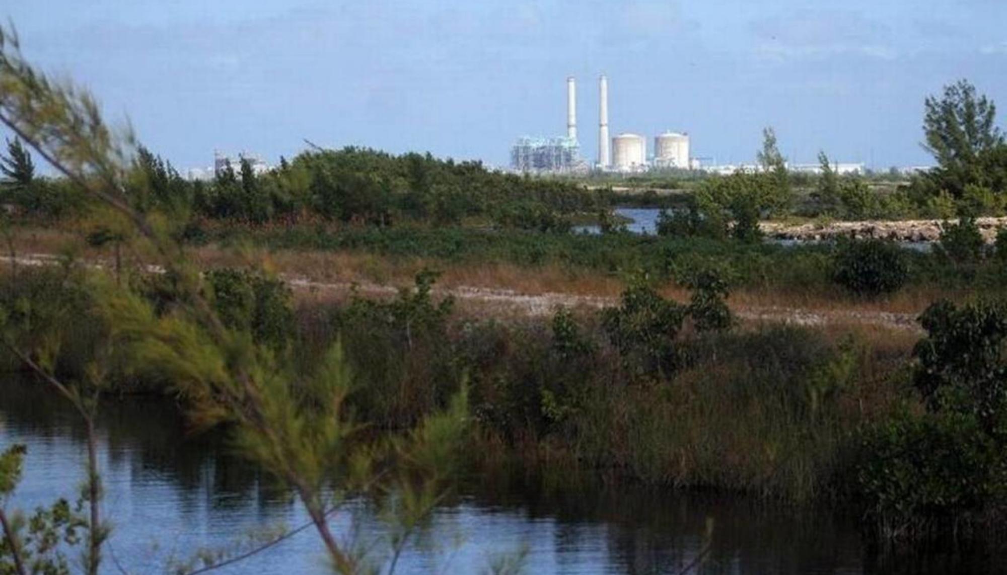 Central nuclear Turkey Point en Florida. Fuente: Miami Herald.